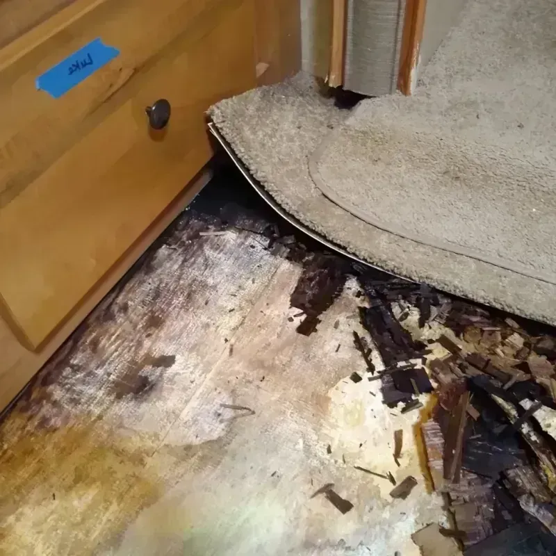 Wood Floor Water Damage in Queen Anne, MD